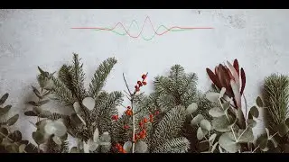 Charles Vestal - Next Year