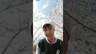 серия 859 богобоязнинас Абу Бпакра Р.а 🕋