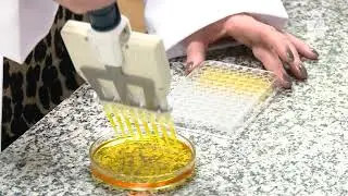 Ciência e Inovação - Produção de etanol de segunda geração