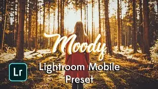 Free Moody Preset for Lightroom Mobile