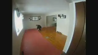Remove Carpet and Pad