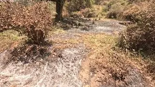 Plus Ultra Tanzania's Lake Manyara National Park