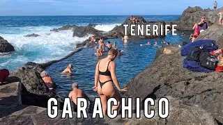 🌍 Tenerife. Garachico - Costa de Lava. Provincia de Santa Cruz de Tenerife,Islas Canarias, Espa&ntilde;a.