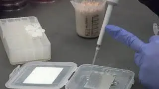 KSVDL Virtual Tour: Bacteriology Laboratory