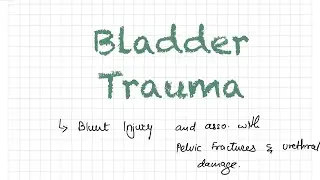 Bladder Trauma I UROLOGY I Urologic traumas