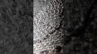 How velcro work close up #macro with mobile