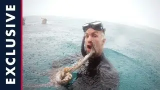 Diving and Spearfishing in Indo | Who is JOB 2.0: S1E14