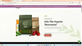Google Search Console || Sitemap Indexing || Technical SEO || DMF Level-4 Jobs