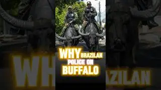 Police Cops In Buffalo 🐃 #shorts #facts #asmr #bts #pewdiepie #sidemen #billieeilish #sciencefacts