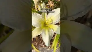 Фонтаны, цветы и невероятные тропы&hellip; Royal Botanical Gardens - крупнейший ботанический сад Канады 🌸