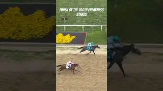Thrilling finish of the 2025 Preakness Stakes from the rooftop #shorts #horseracing #preakness