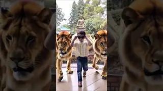 Dhurander: The Viral Song That Broke The Internet