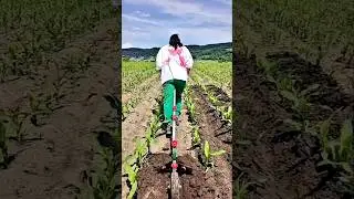 #shorts #agriculture #farming2026 #satisfying #machine #shot #tools  #EliteShortsUnleashed #7838