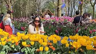 Tulips Festival 2025