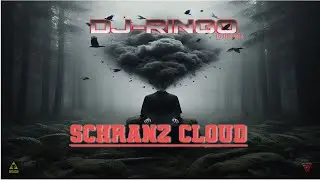 Schranz Cloud #schranz #djringo