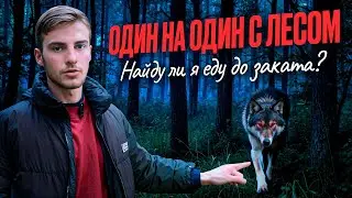 ОДИН НА ОДИН С ЛЕСОМ: Найду ли я еду до заката ? 
