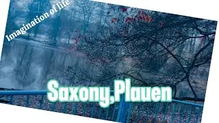 Germany 🇩🇪saxony | Beautiful city of plauen locatedin sachsen Germany snow fall #germany #plauen #fy