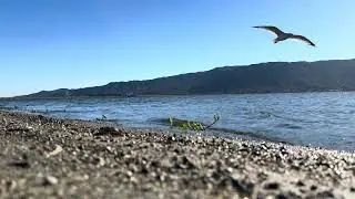 Enjoy the weekend at Lake Elsinore 