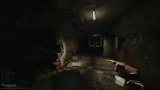 EFT Hardcore (Softcore) Wipe Raid 16 Scav