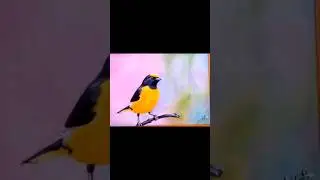 живопись
