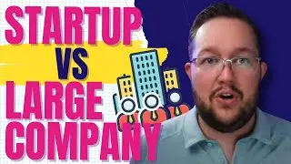 The Pros and Cons of Working at a Large Company vs. a Startup