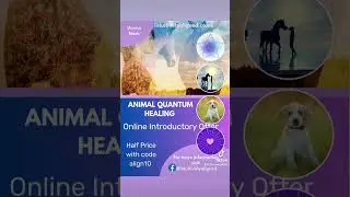 Quantum Animal Healing, Learn how to connect with your animals on a deeper level. #quantum #animals