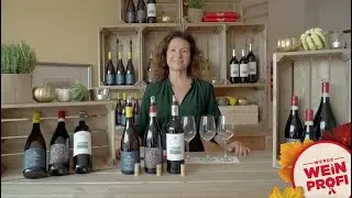 Starter-Kit &laquo;Weinprofi werden&raquo; | Der Online-Weinkurs von Bindella