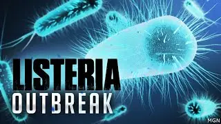Food safety alert: Mesa County Public Health issues alert after Listeria outbreak