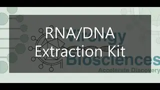 DNA / RNA Extraction Kit Protocol - Virongy