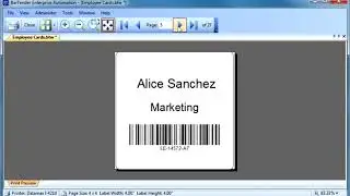 Selecting Records from a Database at Print Time in BarTender Software