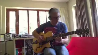 Peerless Martin Taylor Maestro