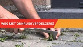 Chemische onkruidverdelgers: 4 alternatieven