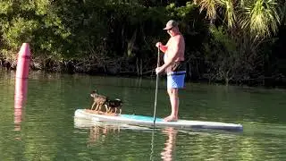 Florida wonderland