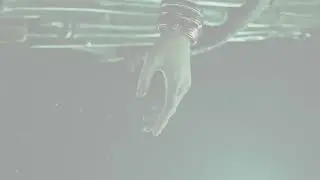 FFVII: Rebirth- Zack holds Aerith's Hand
