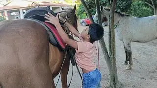FAZENDINHA - Como colocar a cela em um cavalo 🐎
