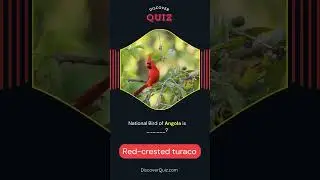 National Bird of Angola is? #quiz #quiztime