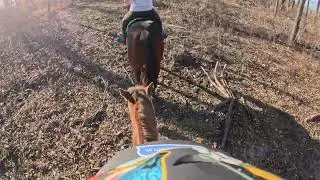 Flying the Bird 1/12/26