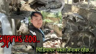 साईप्रसको चिडियाखाना भित्र अनौठो जनाबर।cyprus zoo to many kind of animals #cypruszoo #DoMoo chhetri