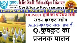 7.IGNOU || CPF || OLP-001 || BLOCK-1 || UNIT-2 || Q.कुक्कुट का प्रजनक पालन