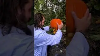 Tannerite VS Sonic boom.  #halloween2023 #explosion #pumpkinspice #tannerite #sonicboom #5.56 #1/2lb