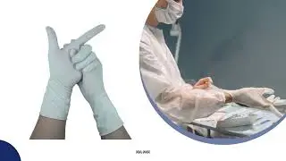 Powder Free Sterile Gloves - Your Trusted Source for Premium Medical Gloves