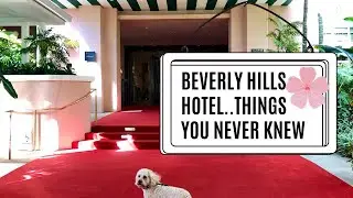 Fun Facts about the Iconic Beverly Hills Hotel