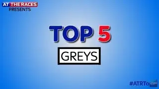 Top 5 grey horses