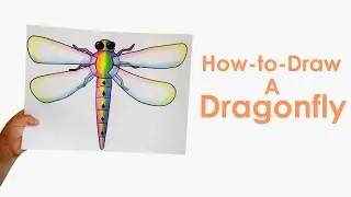 Dragonfly - Drawing with Mr. Scholten
