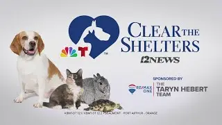 Plenty of dogs, cats available in Southeast Texas shelters as Clear the Shelters campaign continues