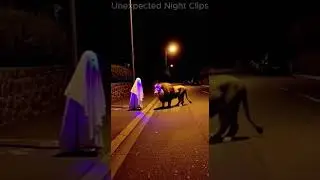 This lion changed from fearless to panicked in one second. Ultra-realistic night road CCTV footage.