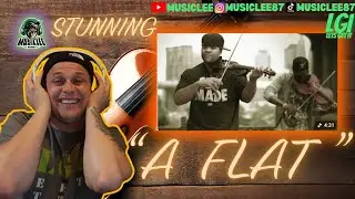 STUNNING!!!!!! BLACK VIOLIN ~ 