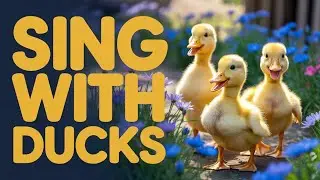 Fun Duck Song English Kids | Cute Quack Quack Nursery Rhyme Toddlers Preschool Baby Love Singing