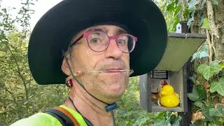 Wandelen naar de geocache: CET '22: Rond het Hondenven, bij Geesteren