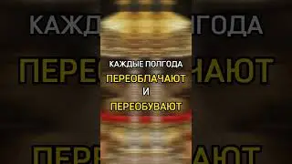 Чудеса с мощами Спиридона Тримифунтского #факты #православие  #рек #чудеса